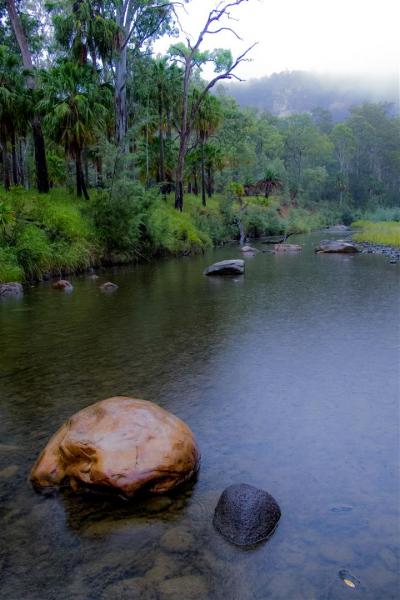 A rainy morning on Carnarvon Creek