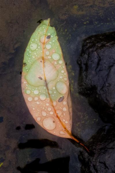 The main walking track provides endless sources of photographic inspiration.