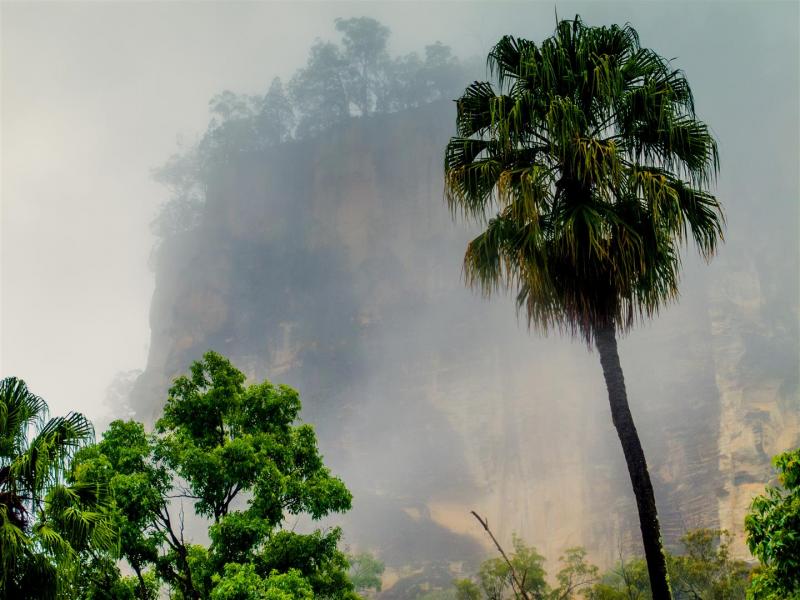 Sandstone cliffs hide behind low cloud