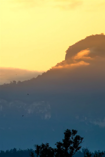 Raptors glide as the day's last light hits the cliffs.