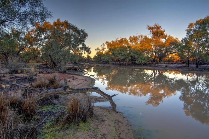 Dawn, Currawinya National Park.