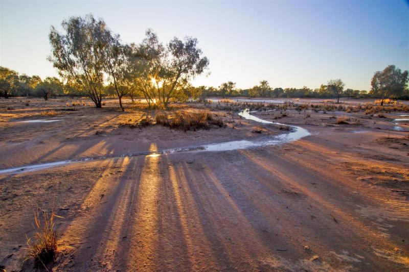 Dawn, Currawinya National Park.