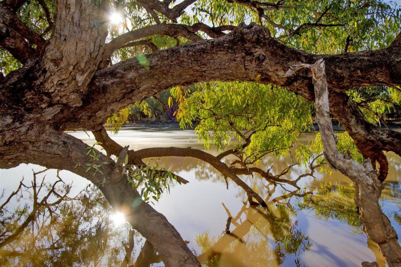 Paroo River, Currawinya National Park.