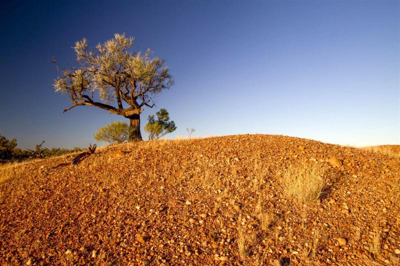 Gigee and mound spring. Currawinya National Park.