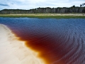 Tannin-stained waters, Flinders Beach