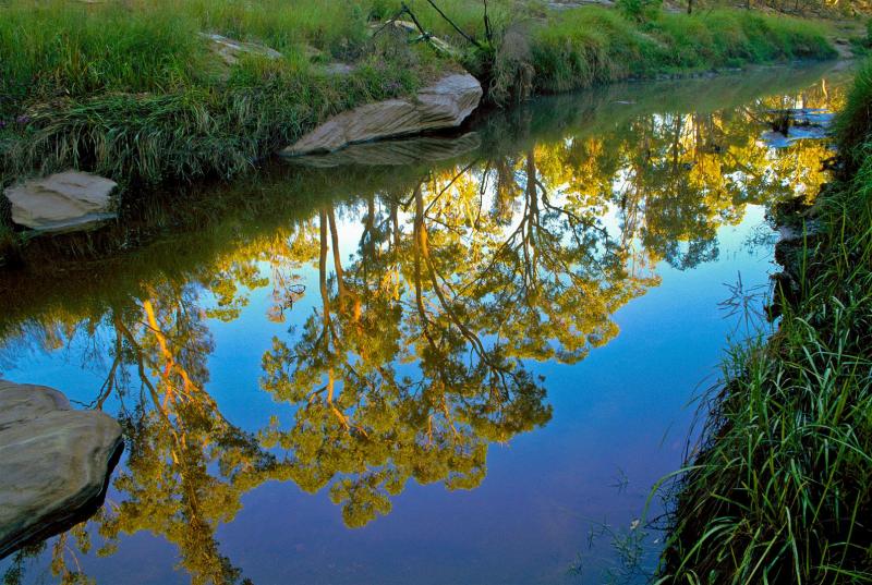 The Maranoa River.