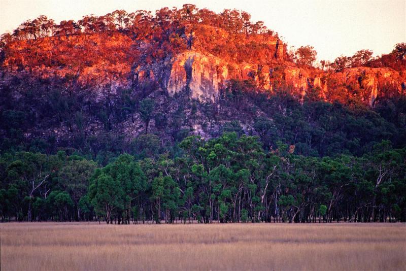 Marlong Plain, Mt Moffatt.