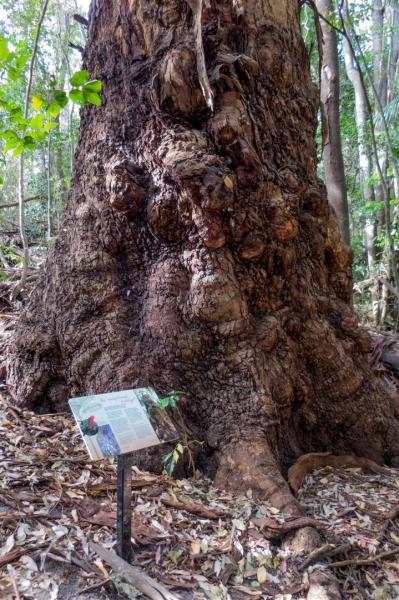 One of the new way-side interpretive signs.