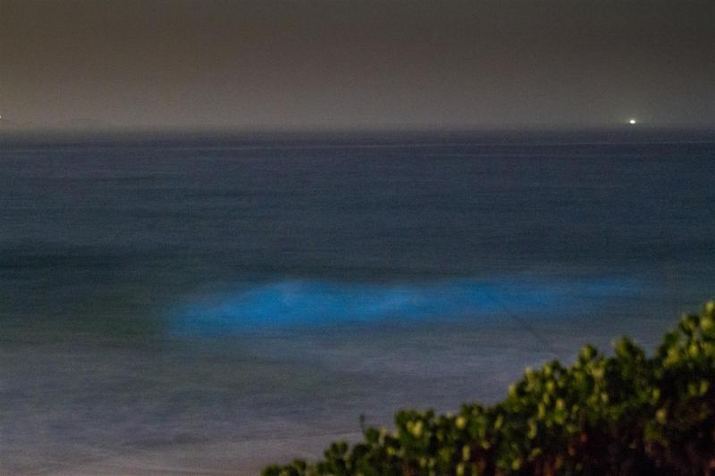 Bio-luminescent surf, Wooli.