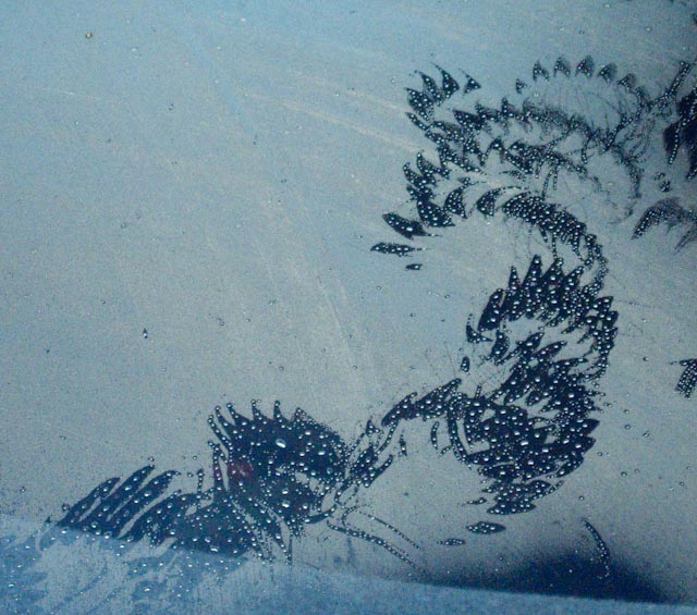 Delicate feather marks on a misty windscreen - what better car ornaments could you have?