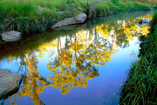 The Maranoa River, Mount Moffatt National Park