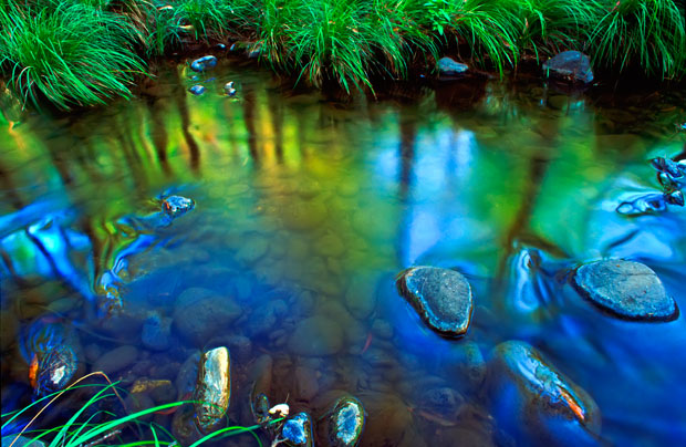 Carnarvon Creek, Carnarvon Gorge. Photo Rob Ashdown.