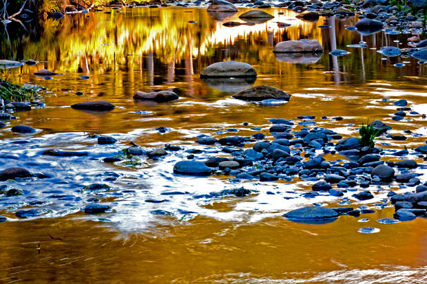 Late afternoon reflections, Carnarvon Creek, Carnarvon National Park. Photo Rob Ashdown.