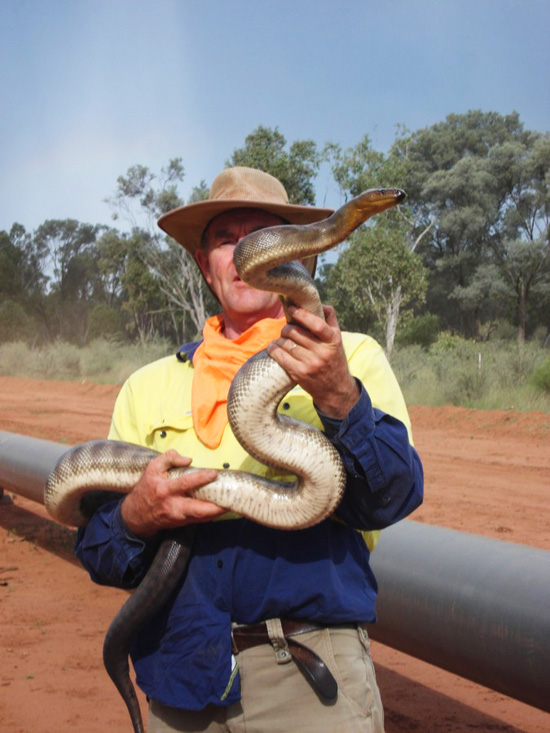 Steve Wilson with Woma