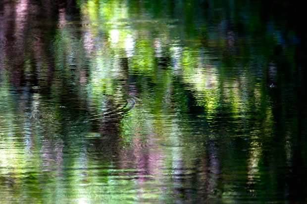 Reflections, Goomburra