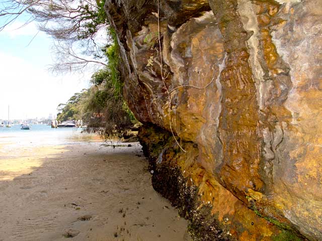 Little Sirius Cove, Sydney