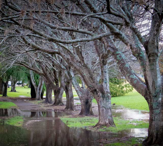 Rainy Toowoomba footpath