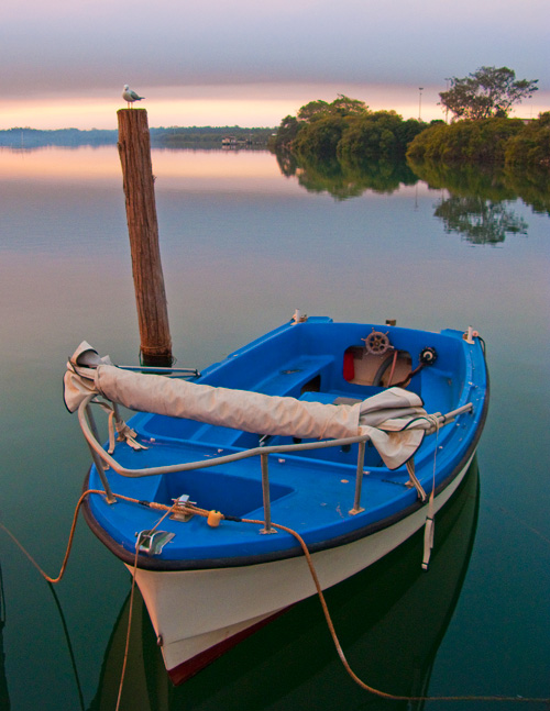 Silver gull, blue boat, turning of the tide, Wooli, 2009.