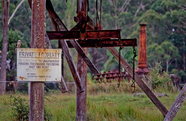 Brandon's Sawmill, Bellthorpe NP