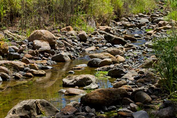 Stockyard Creek