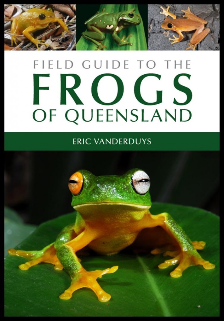 Field Guide to the Frogs of Queensland.