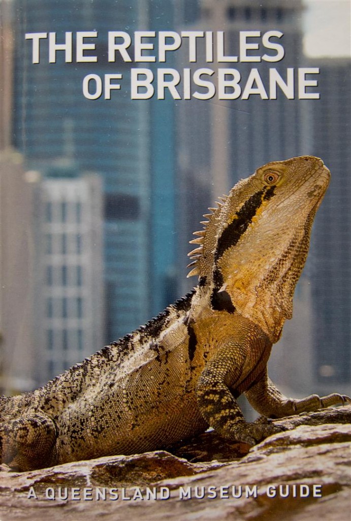 The Reptiles of Brisbane