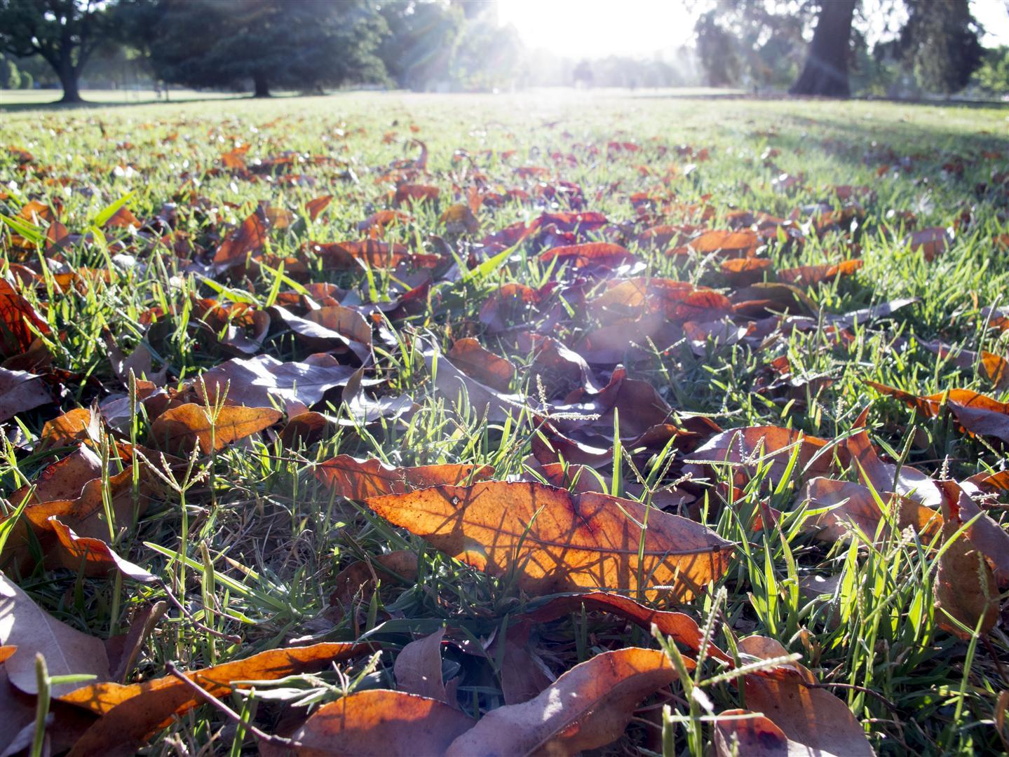 Kurrajong, Queens Park, Toowoomba.