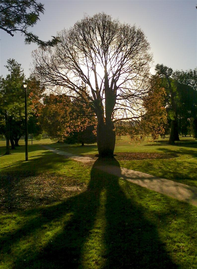 Kurrajong, Queens Park, Toowoomba.