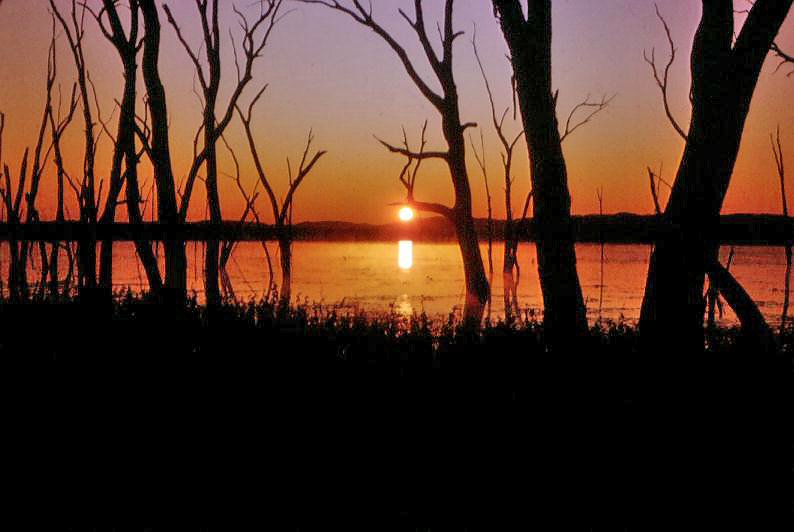 Lake Nuga Nuga by Bill Goebel.