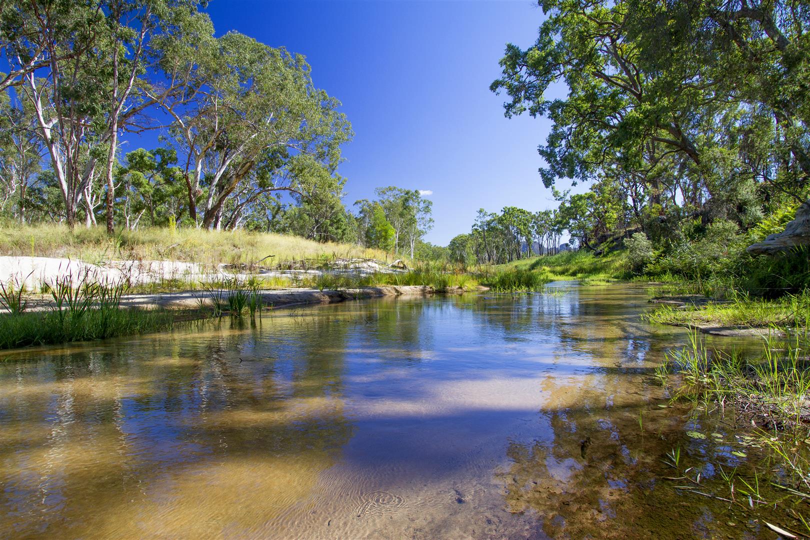 The Nogoa River, Salvator Rosa National Park, central Queensland.