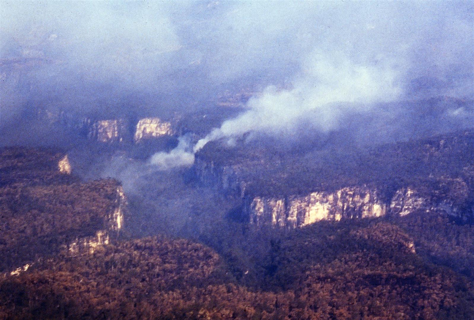  Carnarvon Gorge. Photograph by Bill Morley.