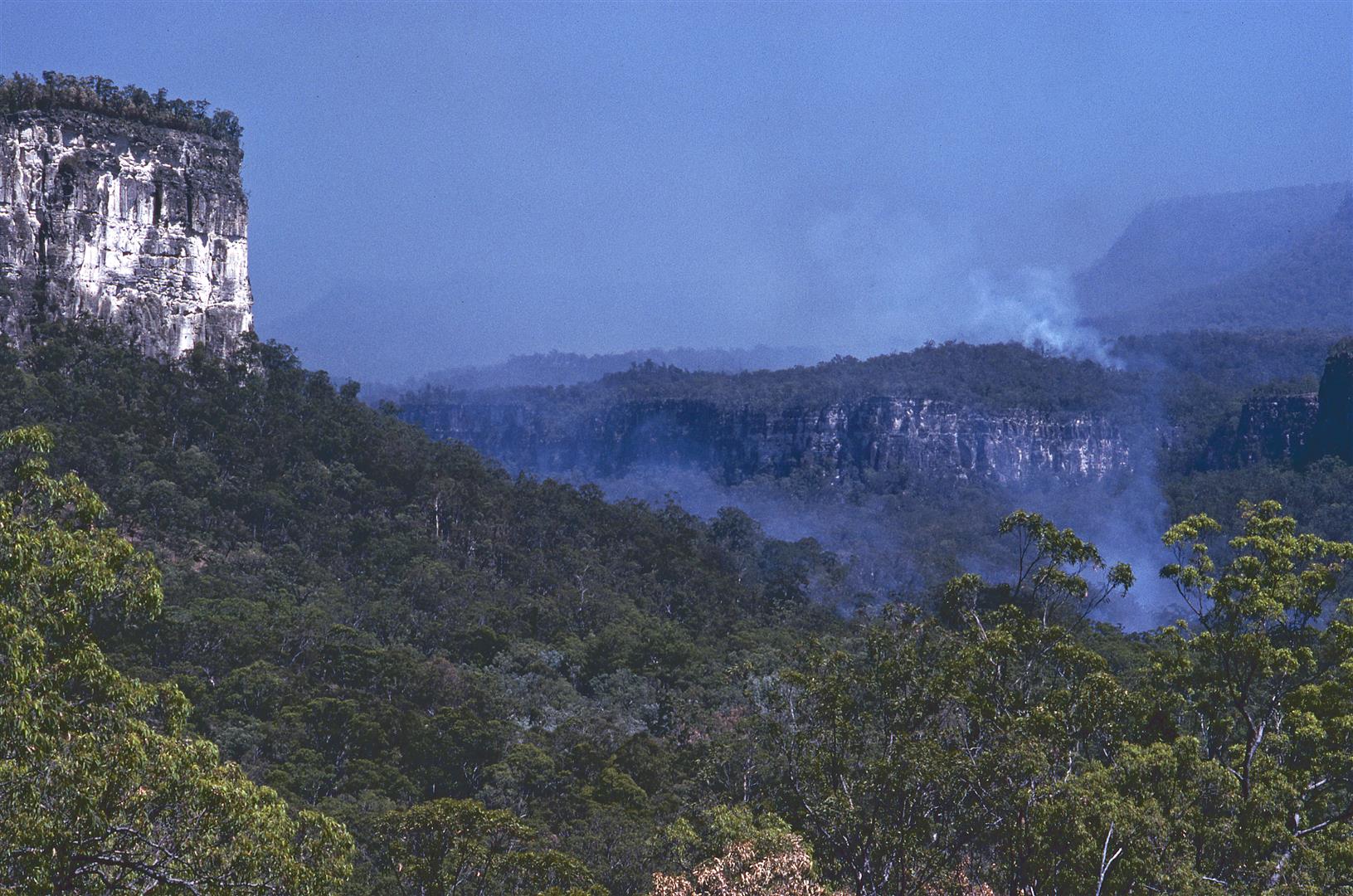  Carnarvon Gorge. Photograph by Bill Morley.