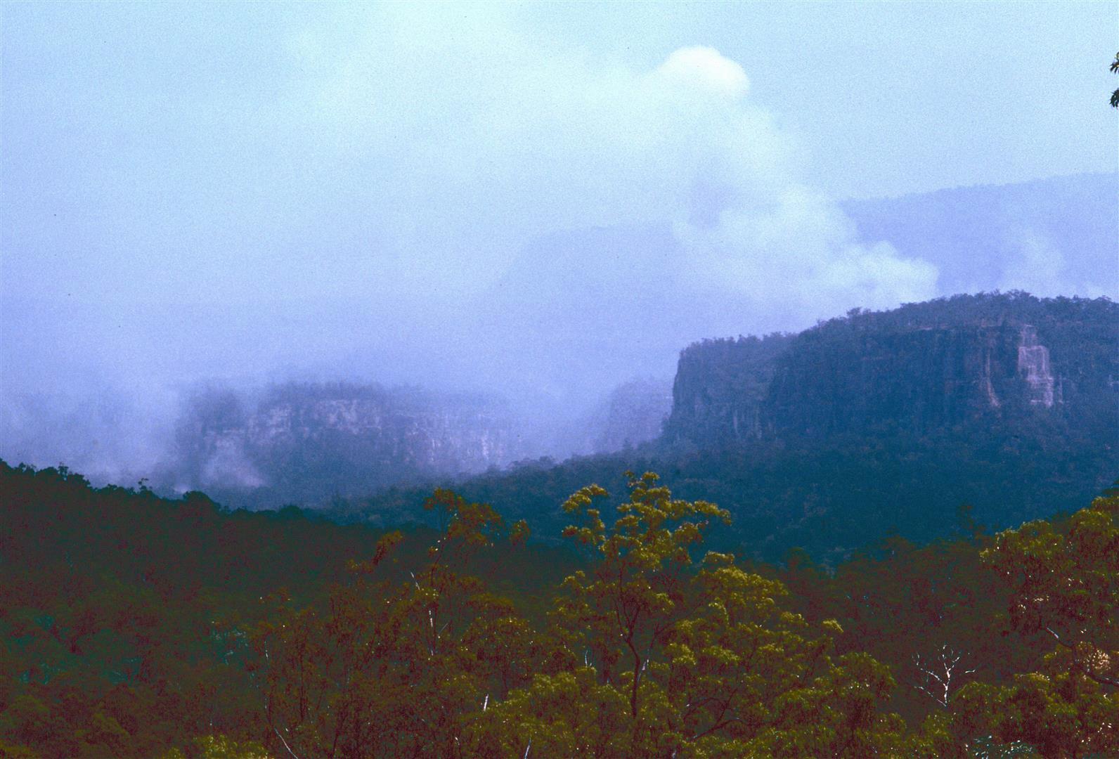 Carnarvon Gorge. Photograph by Bill Morley.