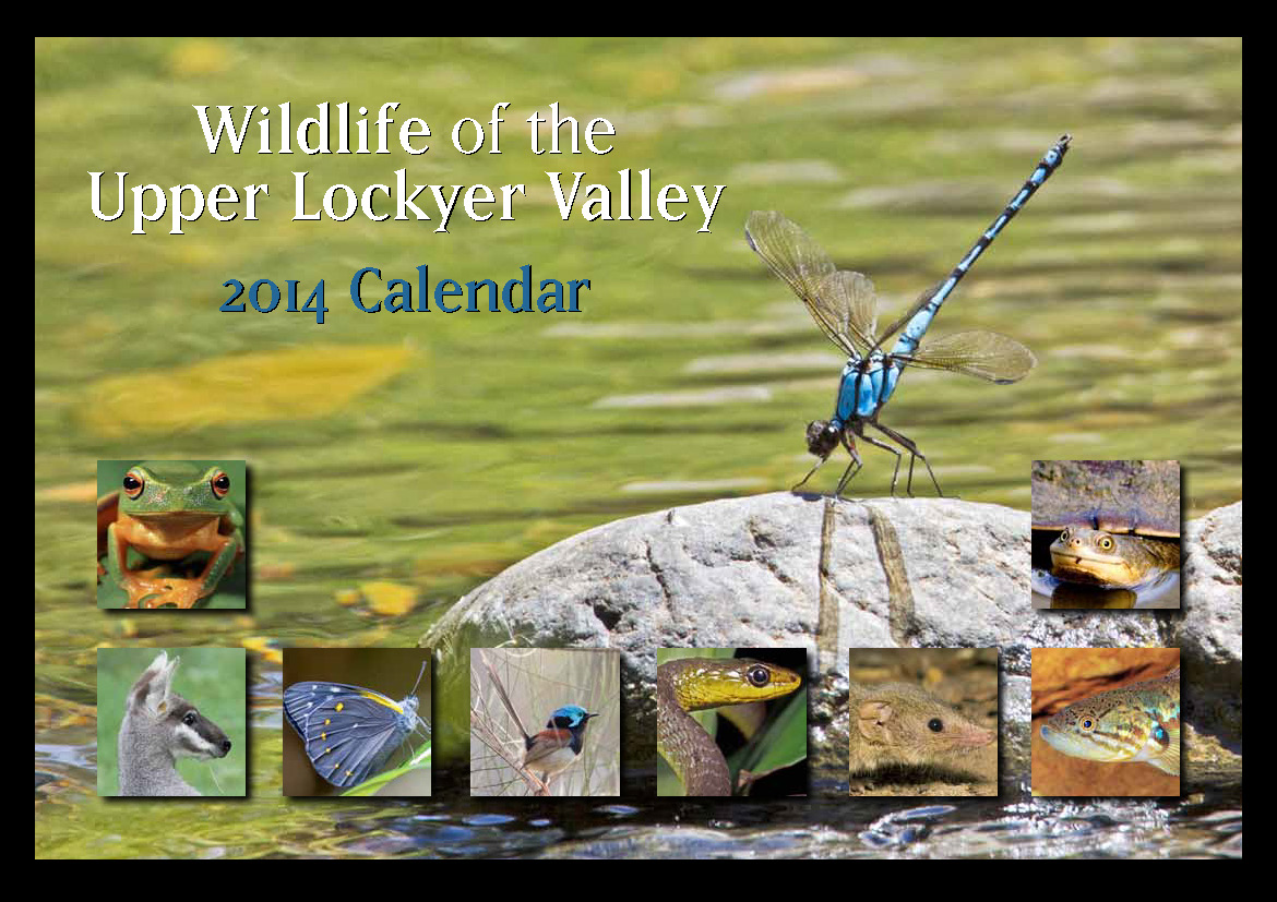 Wildlife of the Upper Lockyer Valley 2014 calendar.