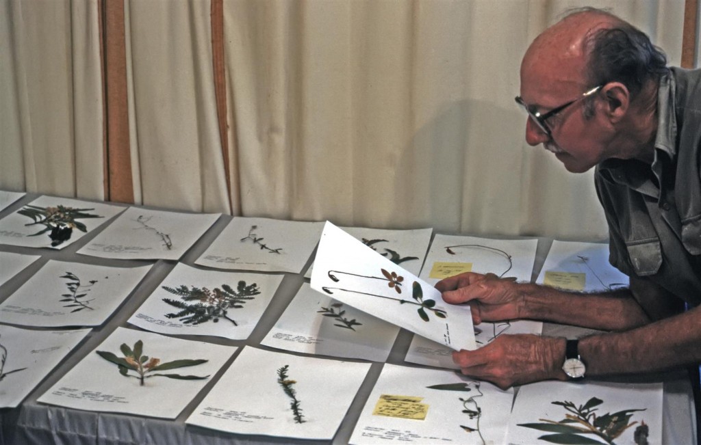 Bill Morley with plant specimens ready for filing, May 1989.