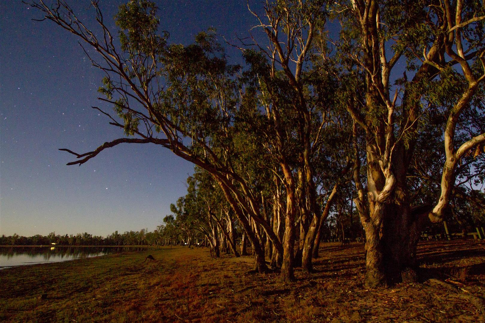 Lake Broadwater Conservation Park, full-moon rise.