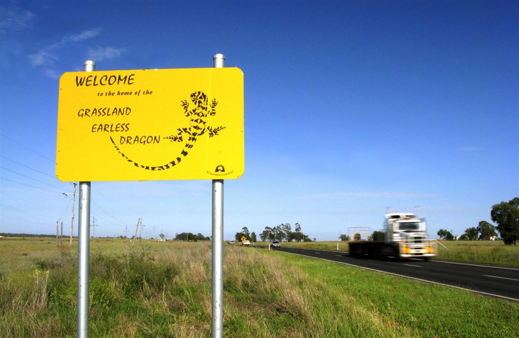  Here there be dragons! On the main east-west highway through the Darling Downs. Photo R. Ashdown.