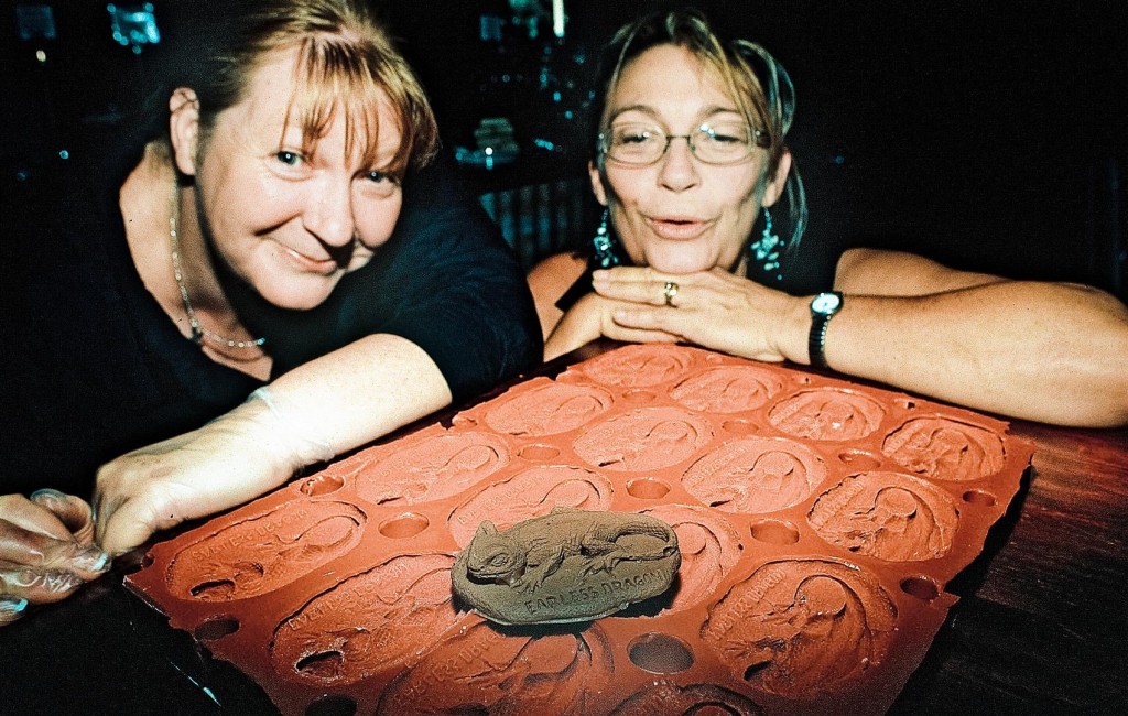  Heather Hanlon (proprietor of speciality chocolate shop and restaurant White Mischief) and Paula Halford (Mount Tyson District Landcare) inspect a newly hatched chocolate earless dragon. 