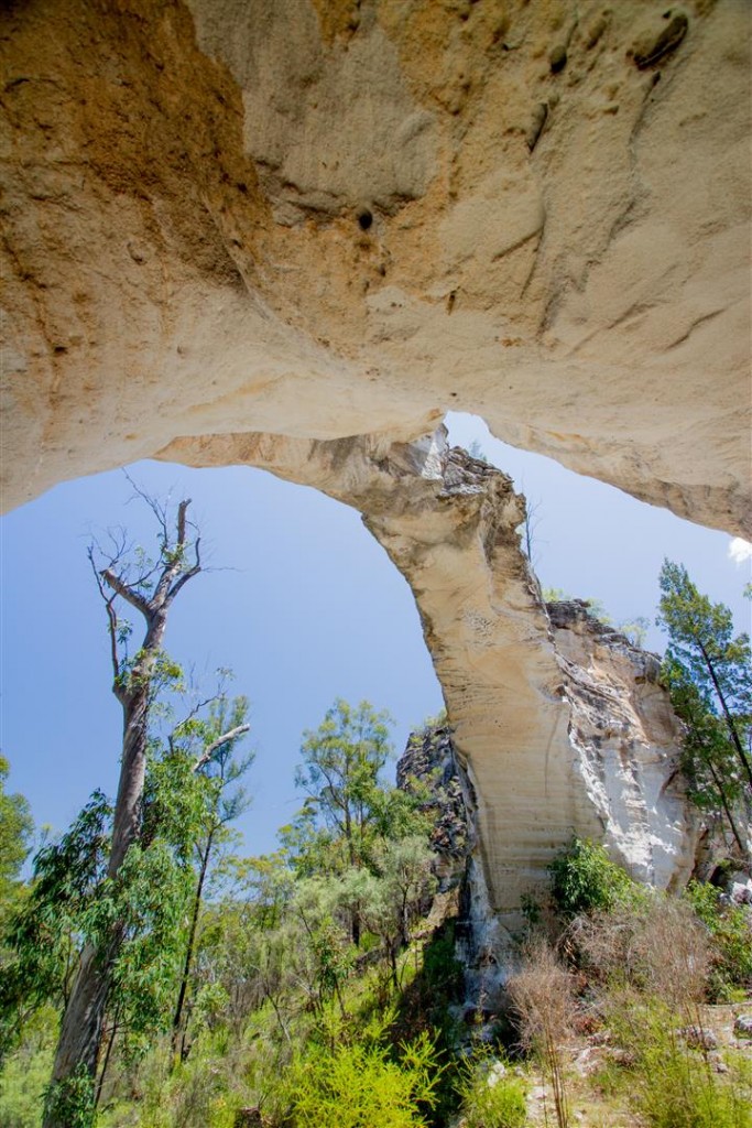  Marlong Arch.