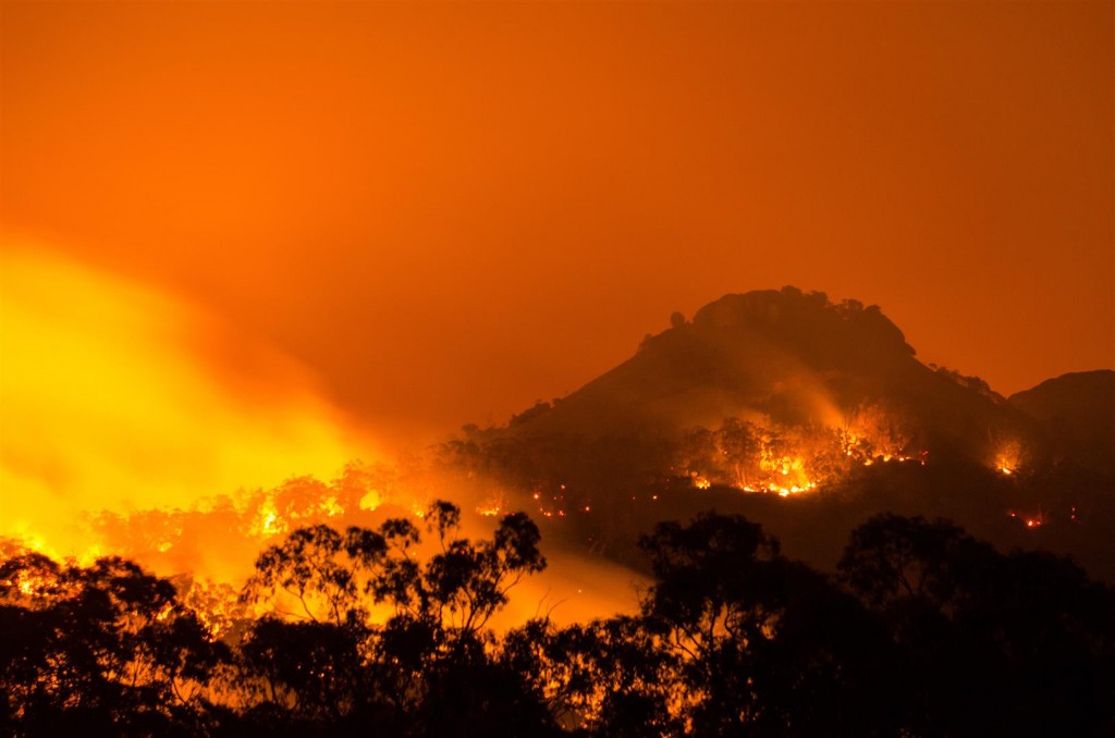 Fire, Girraween National Park. Photo by Brett Roberts.