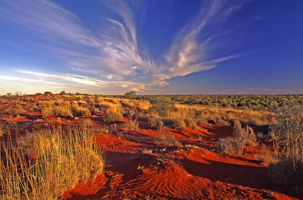 Simpson Desert, western Queensland.