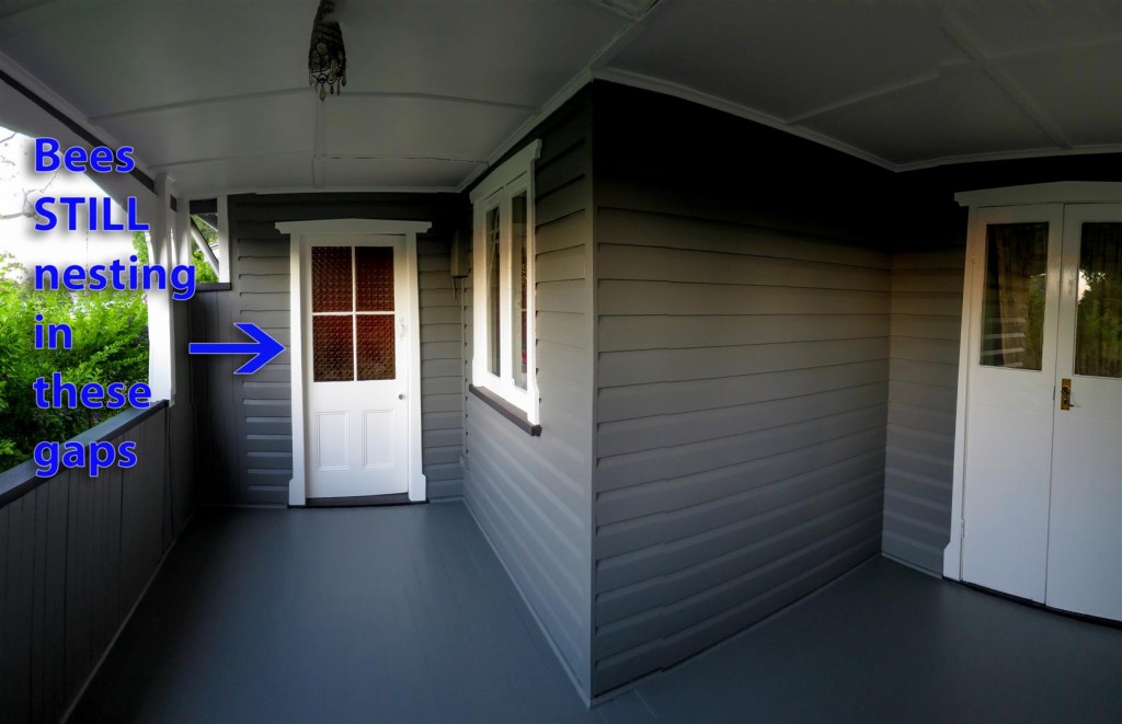 verandah after