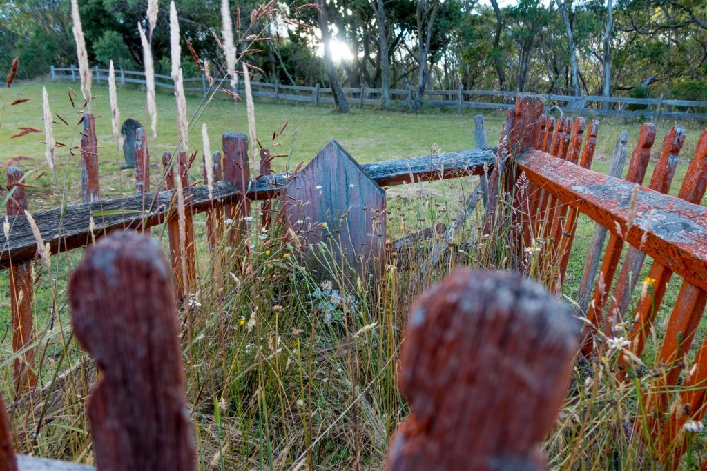 Bellingen Jan 2016-046