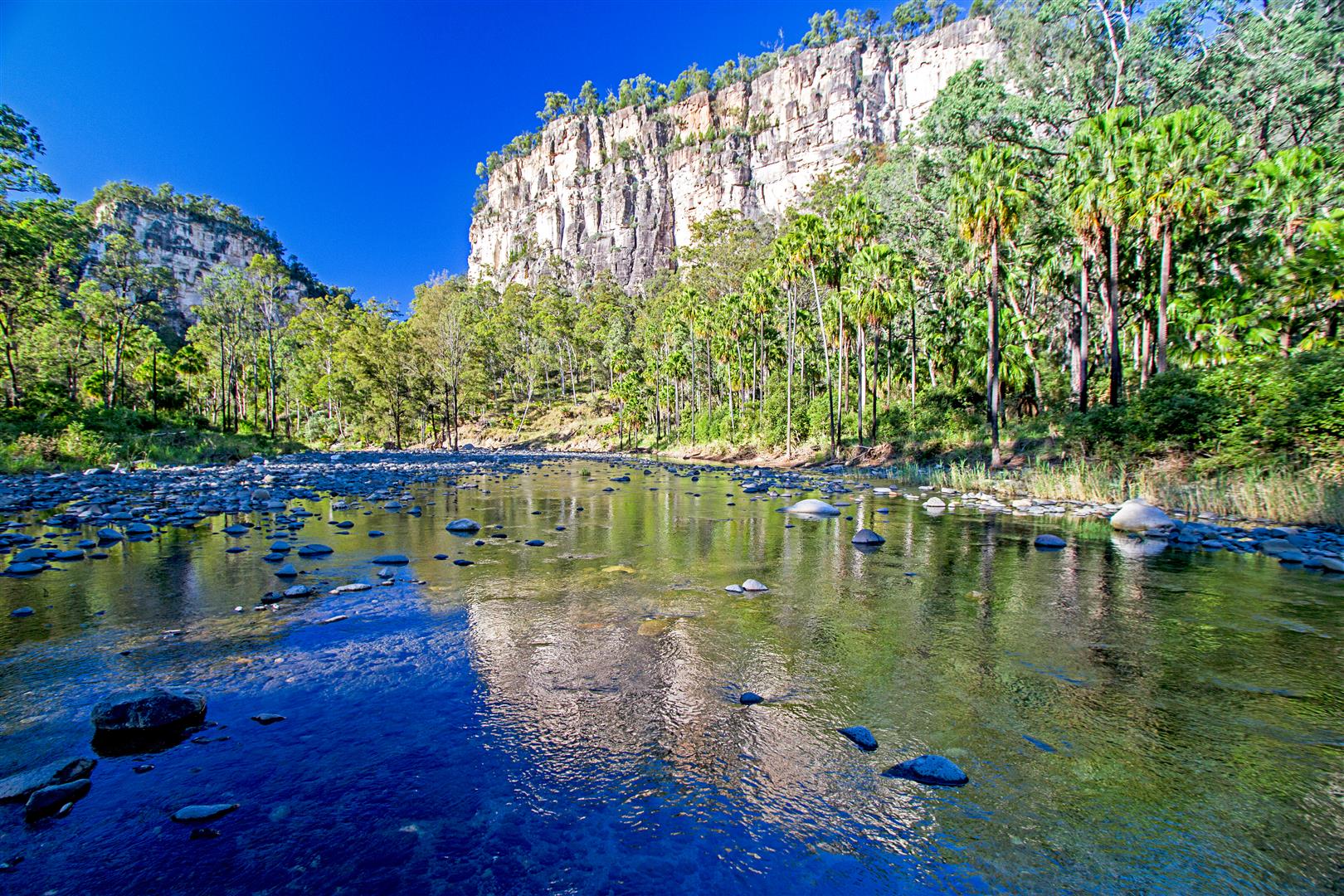 Carnarvon Gorge lies within the spectacular and rugged ranges of Queensland's central highlands. Lined with vegetation and fed by the waters of numerous side gorges, Carnarvon Creek winds between towering sandstone cliffs. The gorge is a cool and moist oasis within the dry environment of central Queensland.