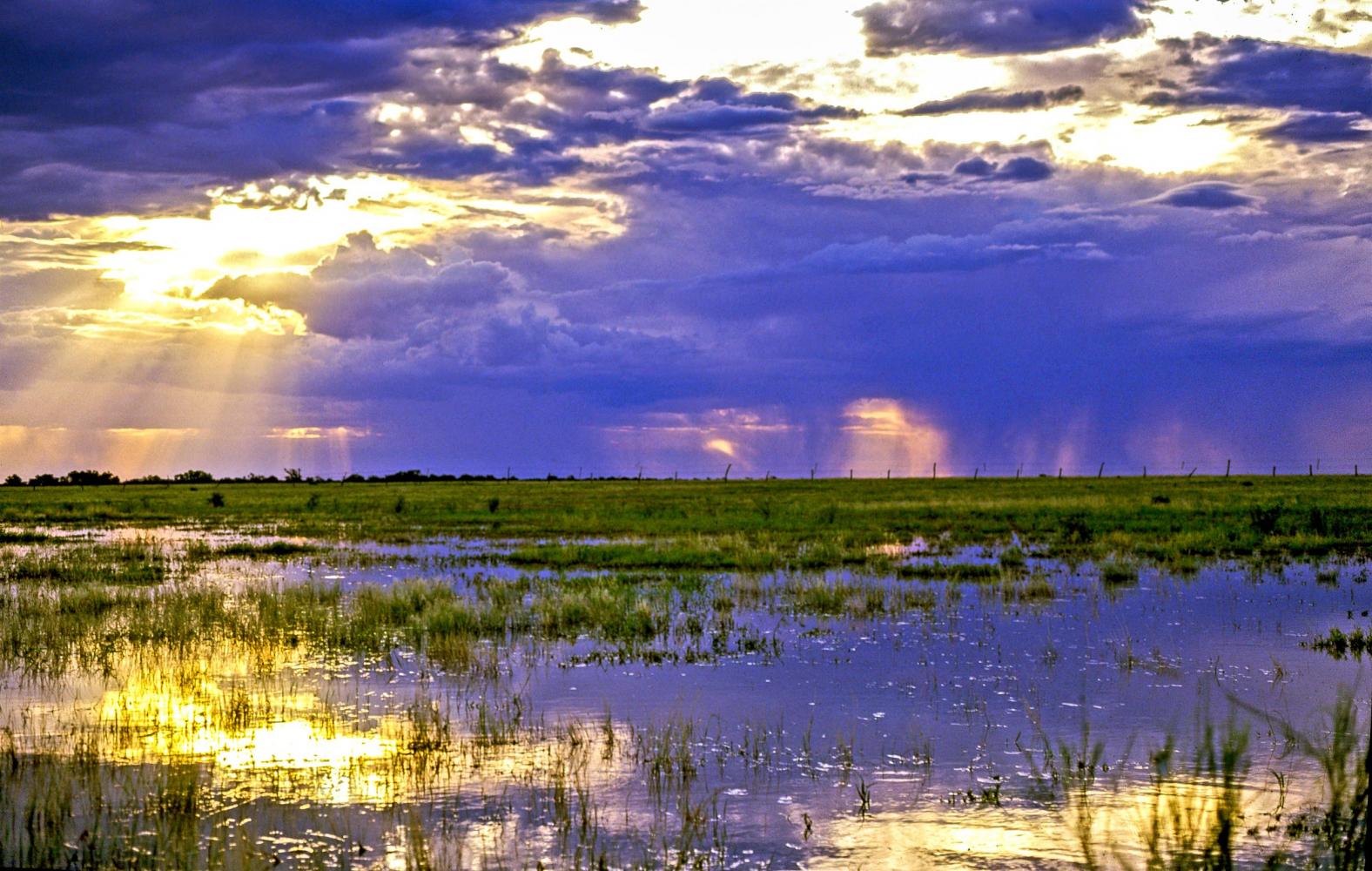 Water flows south-west from the Great Dividing range near Hughenden. The water flows south-west and may reach Lake Eyre 800km away.