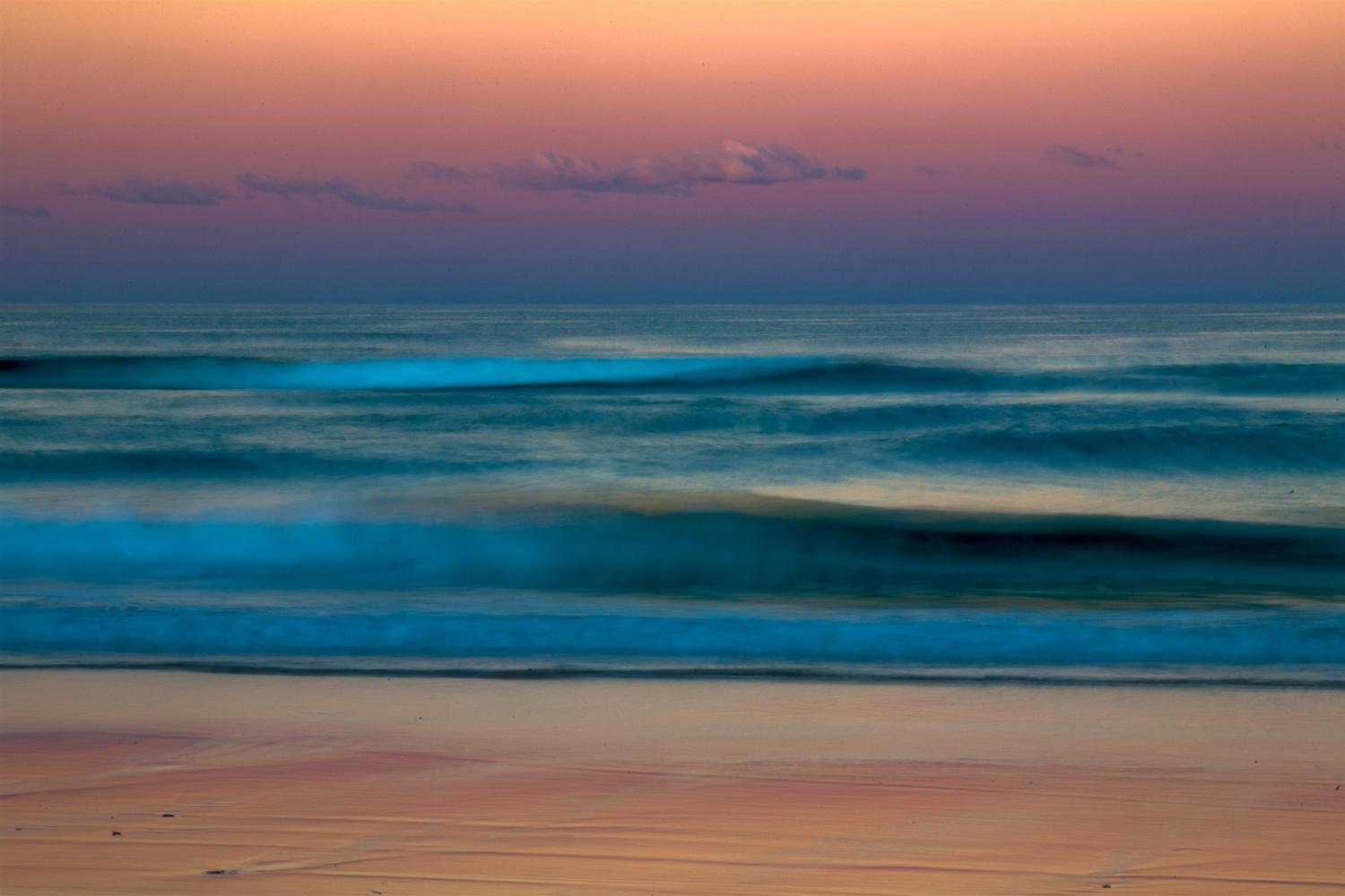 High sand dunes, coloured sand cliffs, sweeping beaches, sandblows, freshwater lakes, tall forests, paperbark swamps and wildflower heaths make this a spectacular part of Great Sandy National Park.