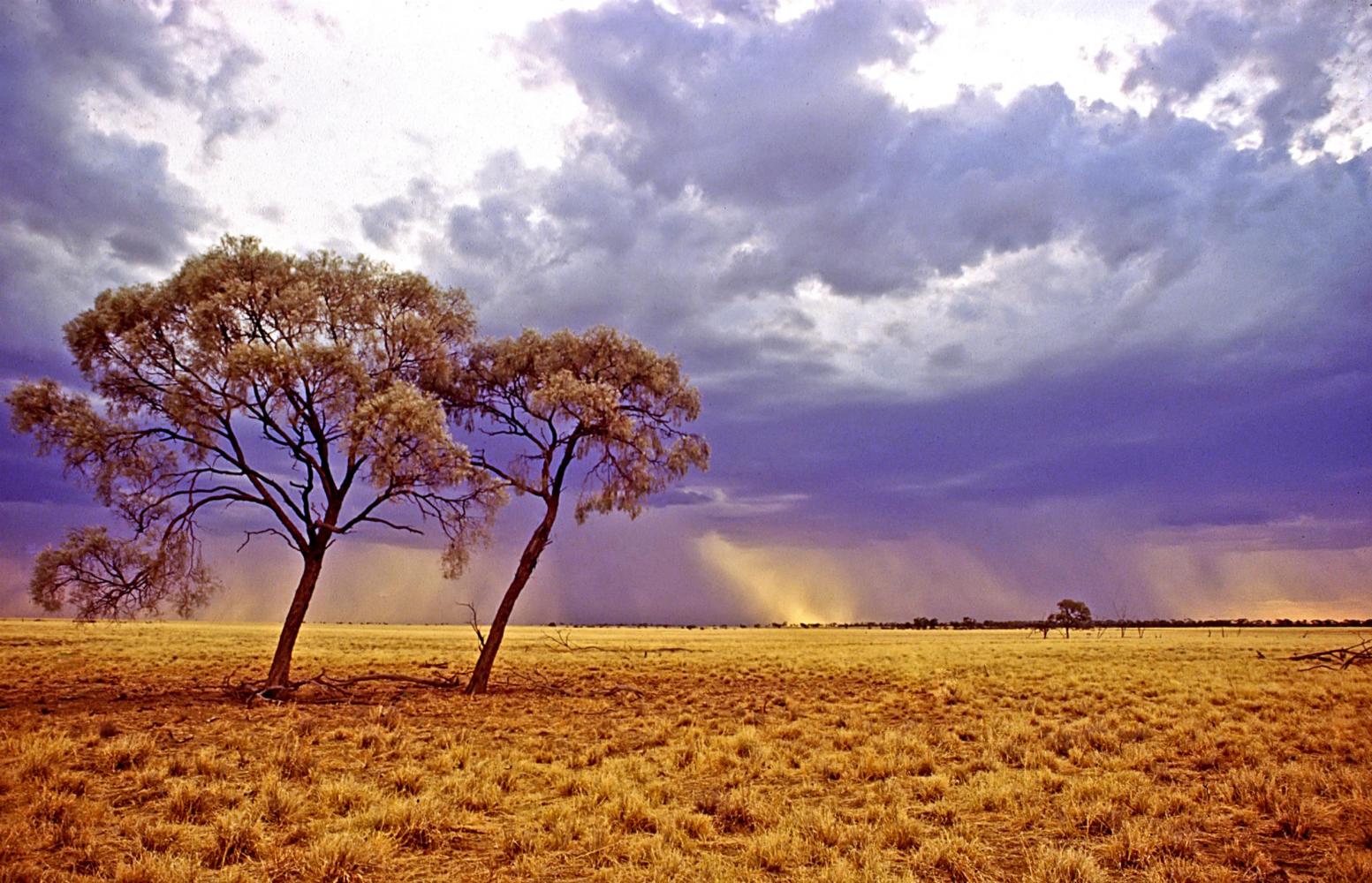 Rain over Mitchell Grass downs, near Longreach.