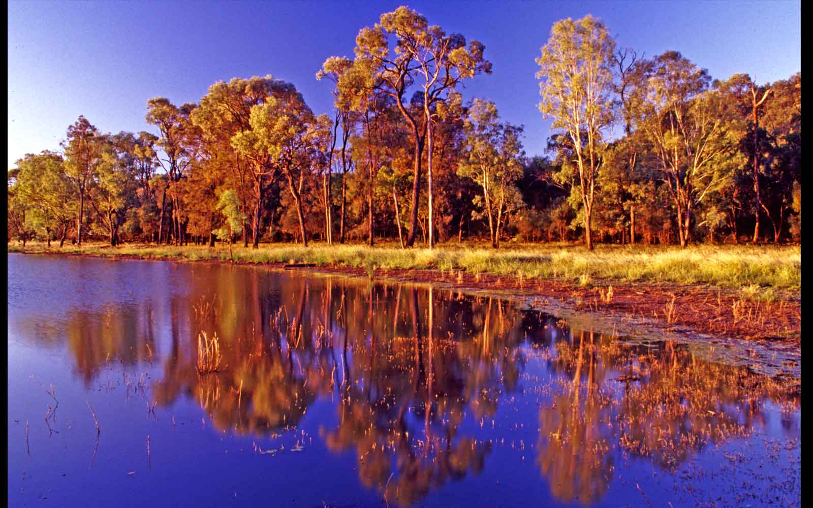 Nuga Nuga National Park