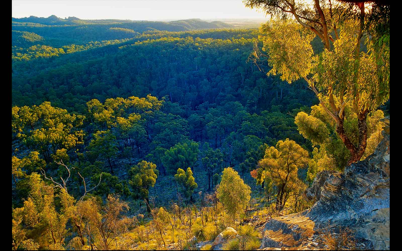 Isla Gorge National Park