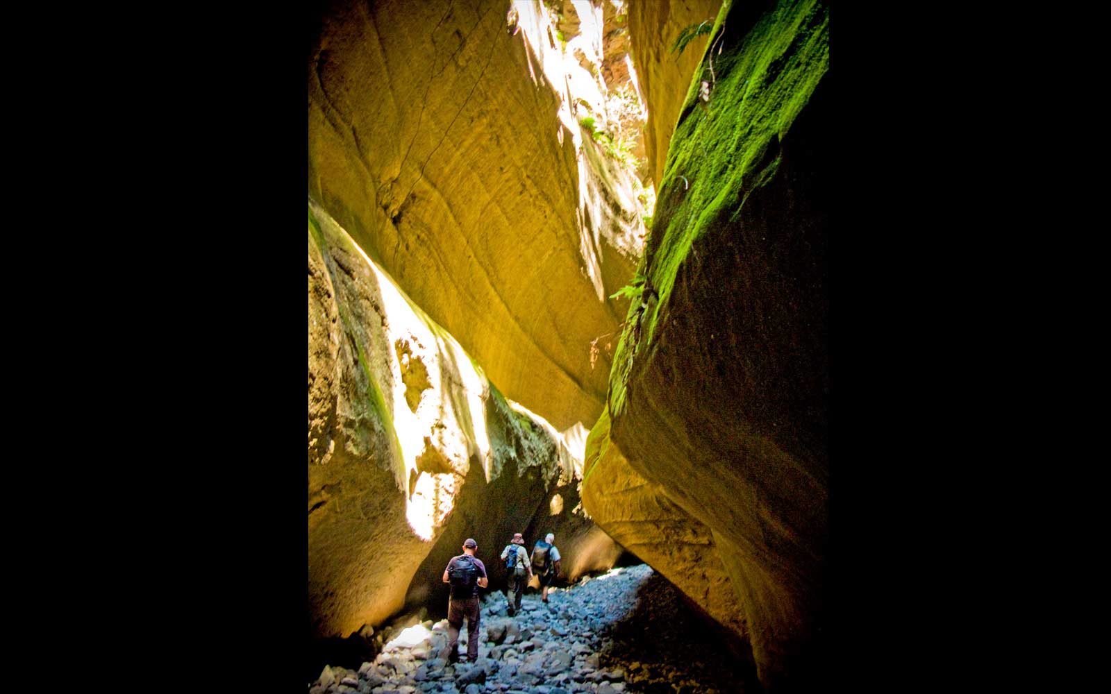 Boowinda Gorge, Carnarvon National Park